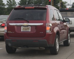 306-0290 JILBIRD.jpg